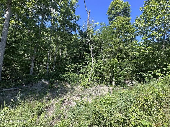 2nd image of 1020 Tomahawk Rd Lot 37