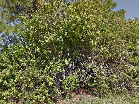 4th image of 11948 Gretchen Ave