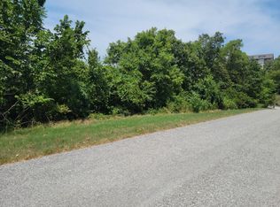 32 Canyon Pkwy, Branson, MO 65616