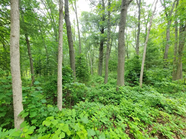 110th Ave, Pullman, MI 49450