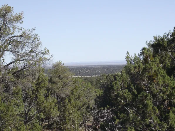 730 E Wampum Ln, Williams, AZ 86046