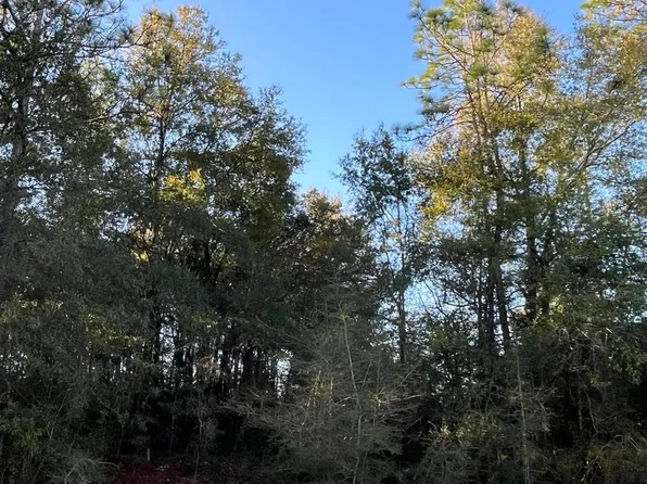 0 S Lakeview Dr, Crestview, FL 32536