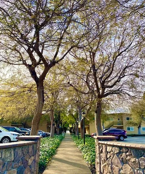Leafy Grove — Photo 80