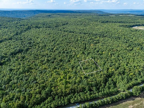 5th image of 0.77 Ac Bluff Line Ln