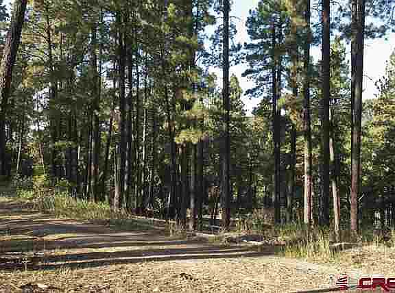 5th image of 57 Pine Cone Cir