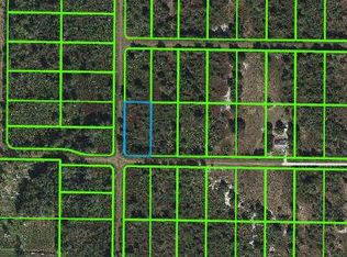 2974 W Reeves Rd, Avon Park, FL 33825