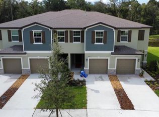 17596 Nectar Flume Dr, Land O Lakes, FL 34638