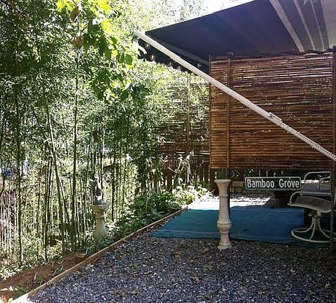 Top of bamboo grove area