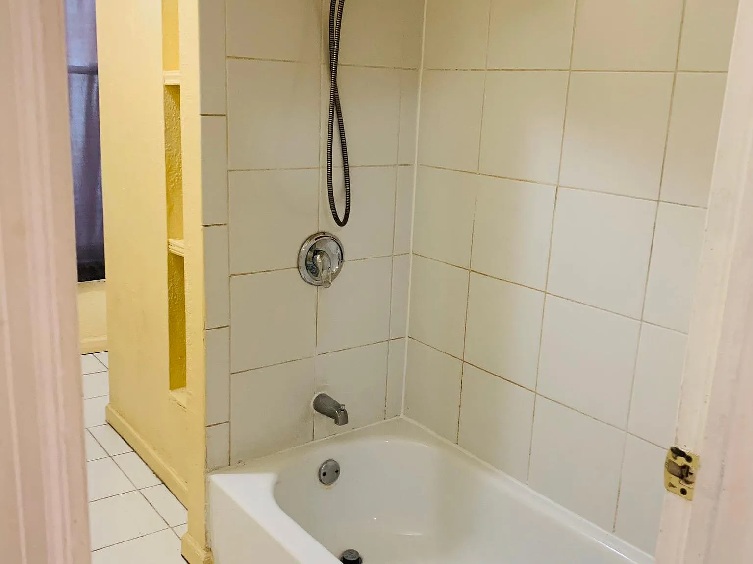 1143 Louisa St — Photo 4