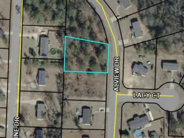 217 Alview Dr, Macon, GA 31206