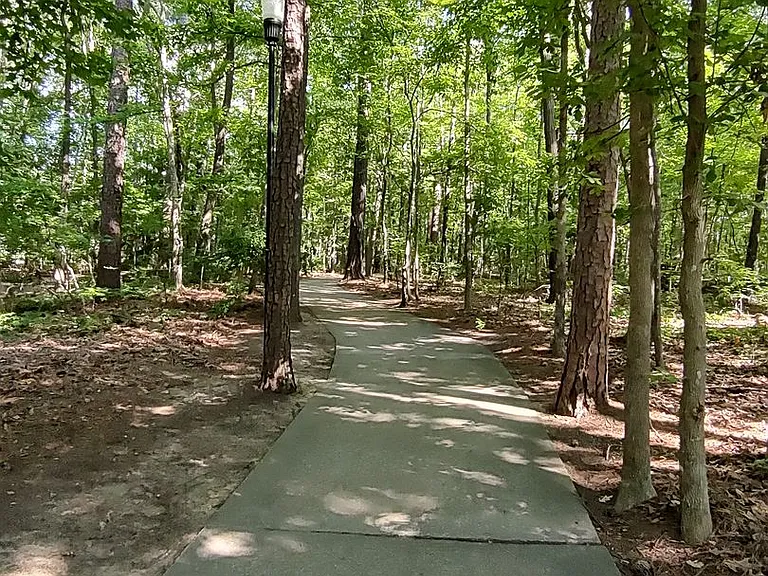 113C Manorwood Ct — Photo 20