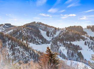 990 E Hopkins Ave, Aspen, CO 81611