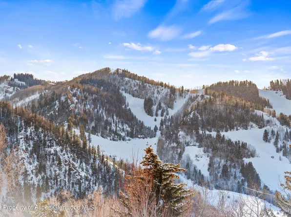 990 E Hopkins Ave, Aspen, CO 81611