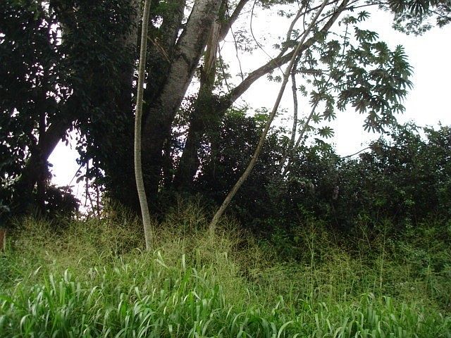 1st image of Malolo St Lot 23