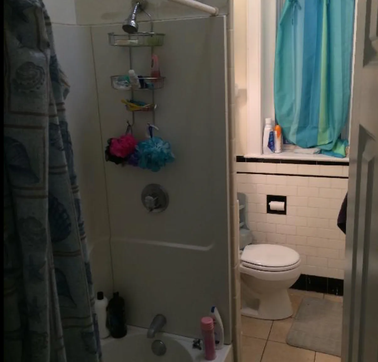 3 bed, 785 sqft, $4,050 — Photo 3