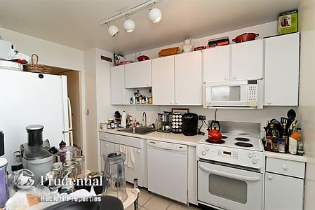 4th image of 70 W Burton Pl APT 3005F