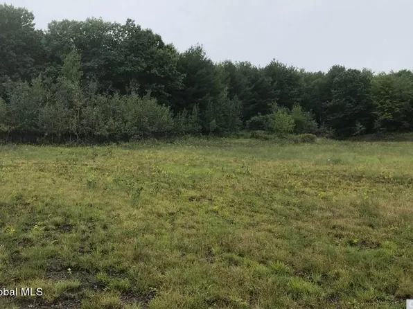 L35 Hillcrest Road, Hannacroix, NY 12087