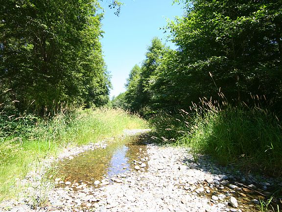 4th image of 15199 Hwy 238 #Lot#2