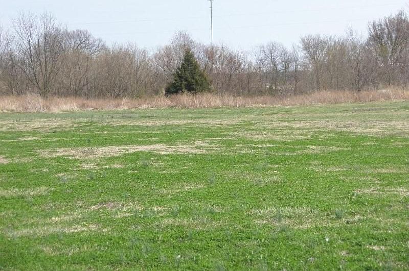 2nd image of 74 Madison Woods