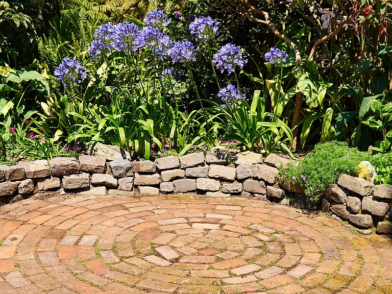 shared yard