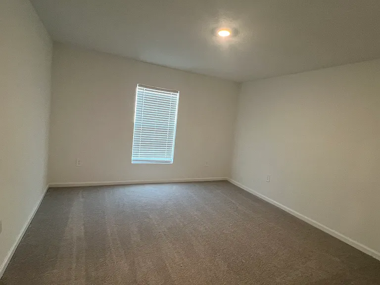 359 Artemis St — Photo 28