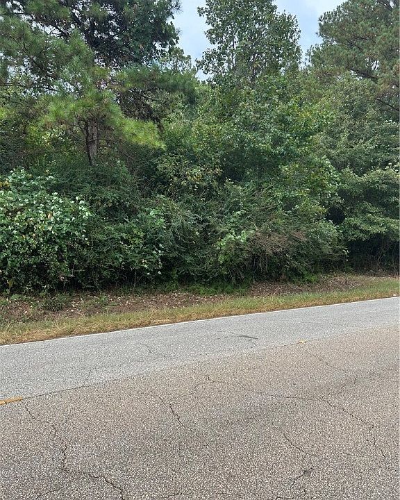2nd image of 0 County Road 266