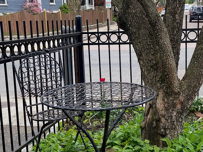 Front yard