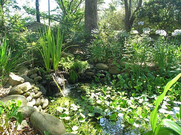 pond with waterfall