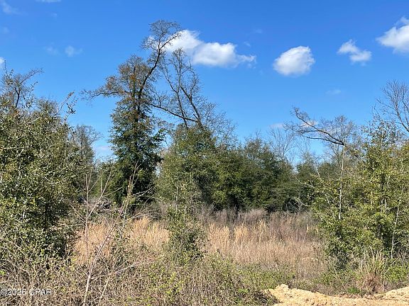 4th image of 0 Speights Way