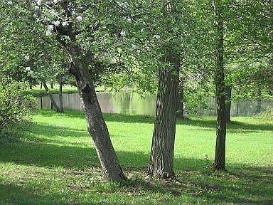 Pond w/ bass, bullhead & sunnys