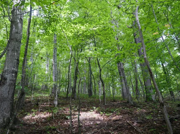 0 Hunter Dr, Saltville, VA 24370