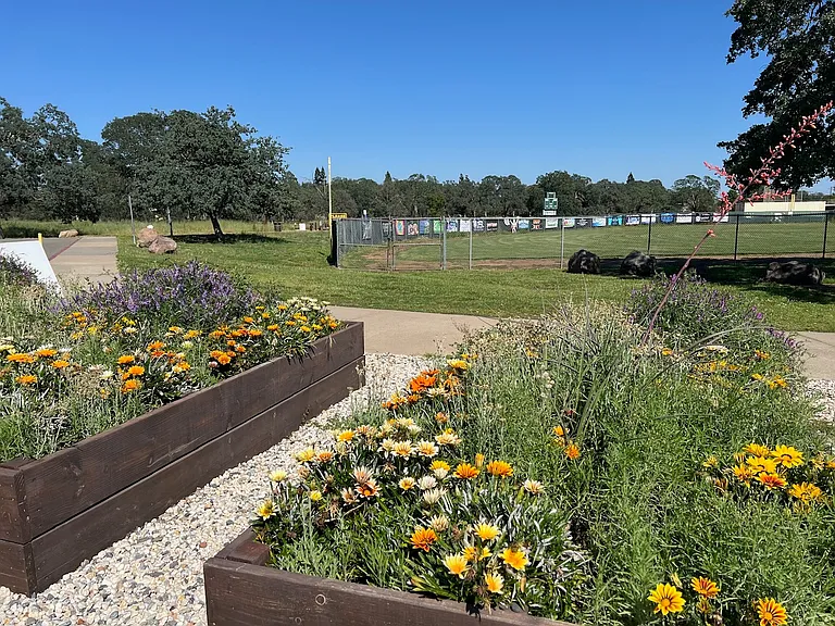Quail Hill Way — Photo 16