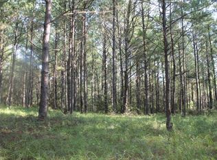 6684 Maddox Rd, Ochlocknee, GA 31773