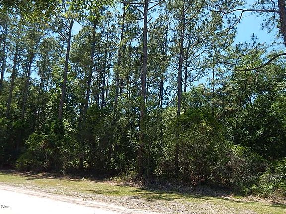 3rd image of 213 Gail Dr