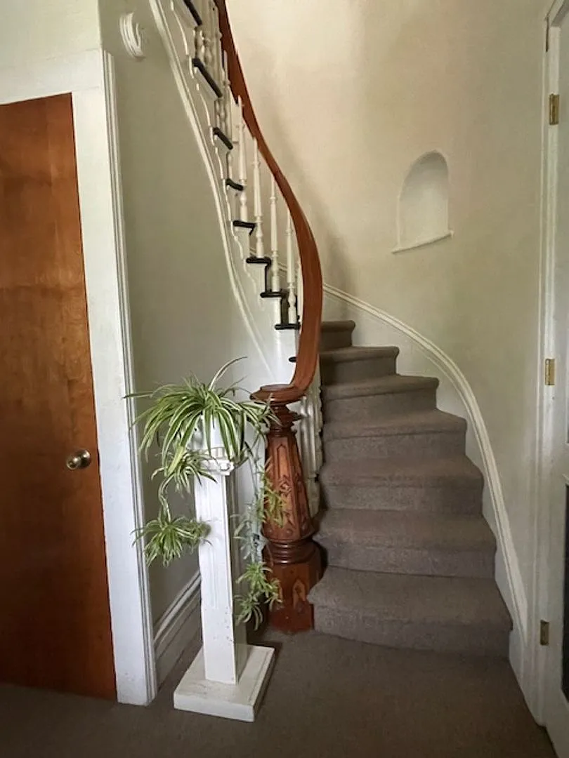 238W — Photo 2