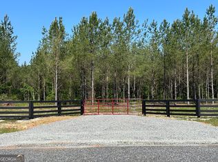 0 Dewey Thomas Rd #11, Dexter, GA 31019