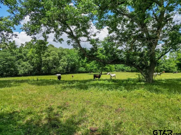 4418 Fm 1000, Mount Pleasant, TX 75455