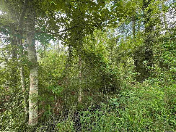 LOT 8 Tabony Ct, Walker, LA 70785
