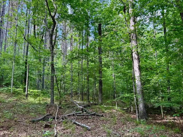 3860 Yellow Creek Rd, Louisville, MS 39339