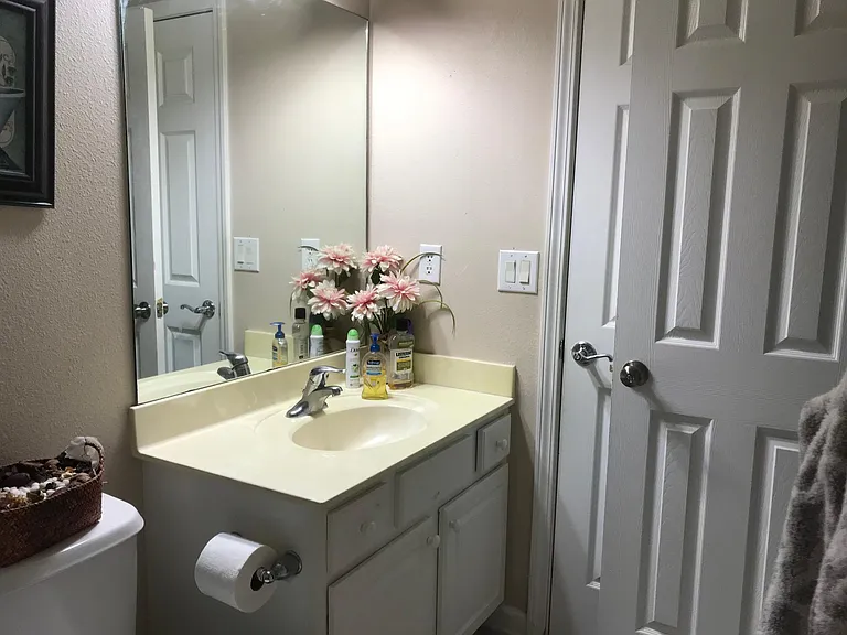 3947 Lionheart Dr — Photo 33
