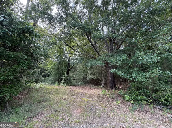 1081 Cleveland Ave, Buckhead, GA 30625