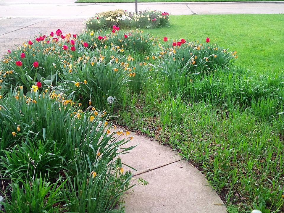 2nd image of 3301 E Stoneway Dr