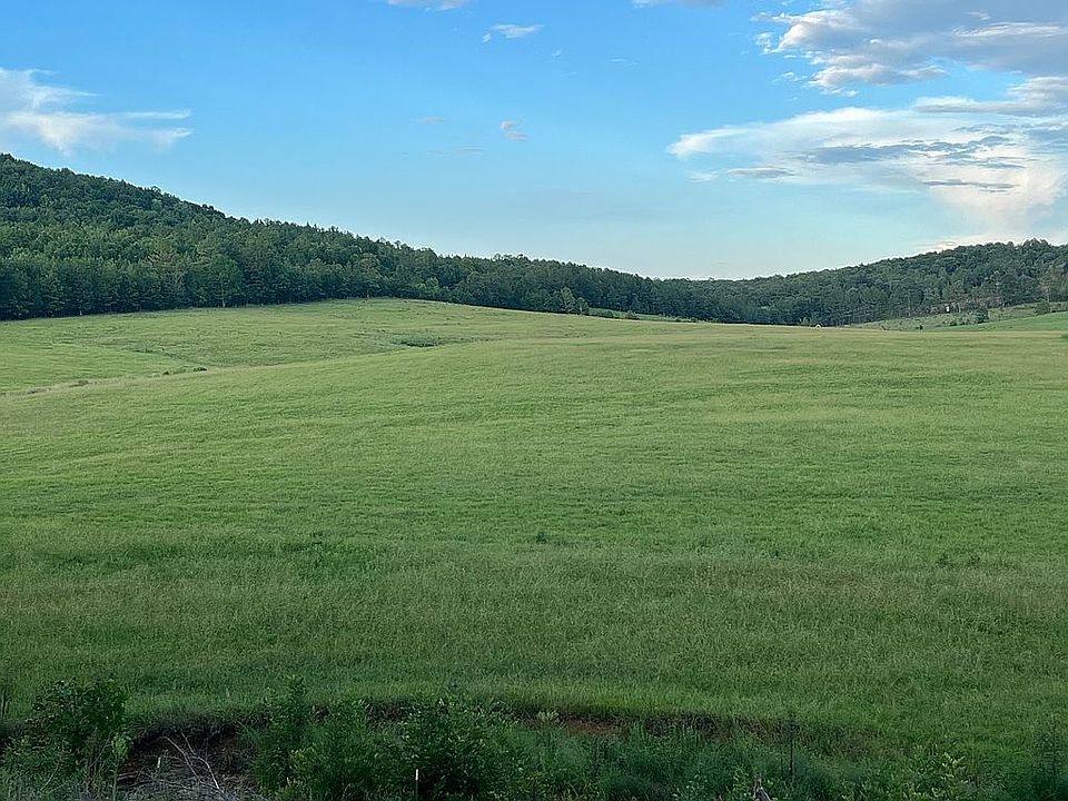 2nd image of 11030 White Pike