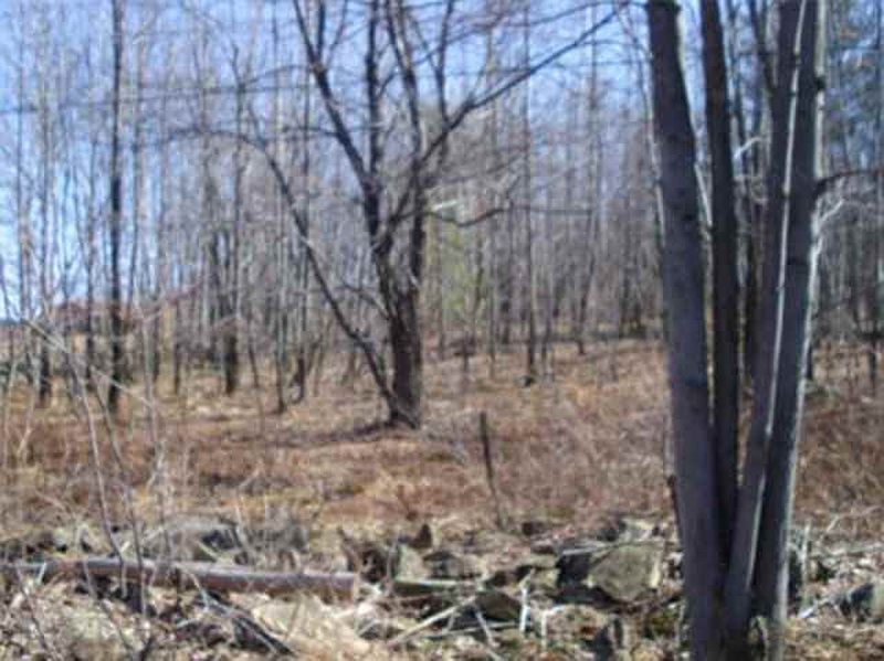 2nd image of 0 BLUEBIRD Road