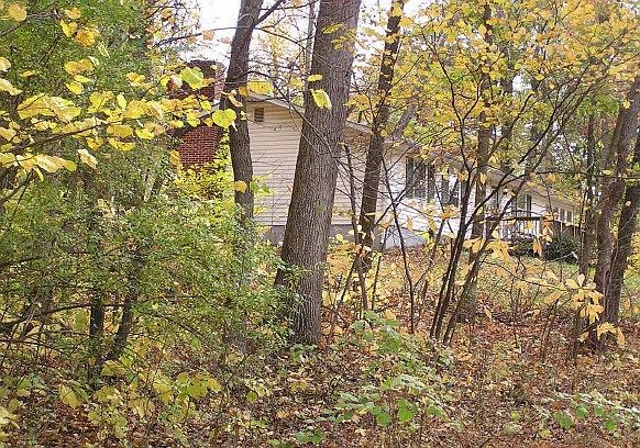 2nd image of 348 Long Leaf Ln