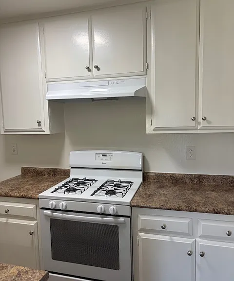377 W Wilson St #10 — Photo 29