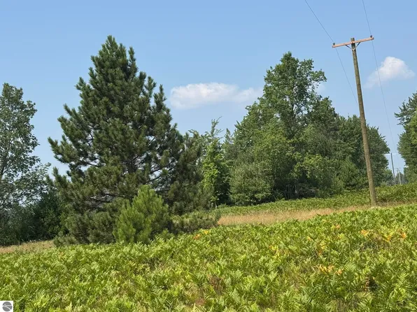 Vl N Stevens Rd, Lake City, MI 49651