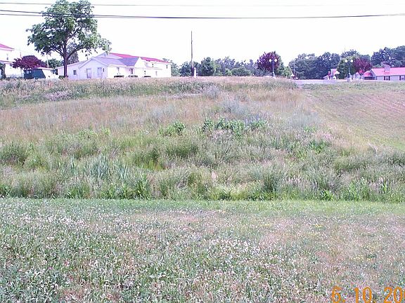Yard View #1