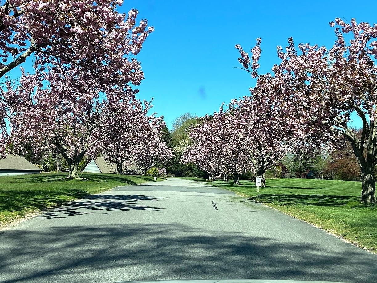13 Shadow Farm Way 13, Wakefield, RI 02879 Zillow
