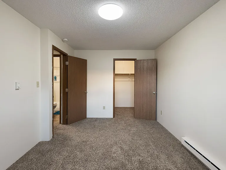 Bedroom with walk-in closet